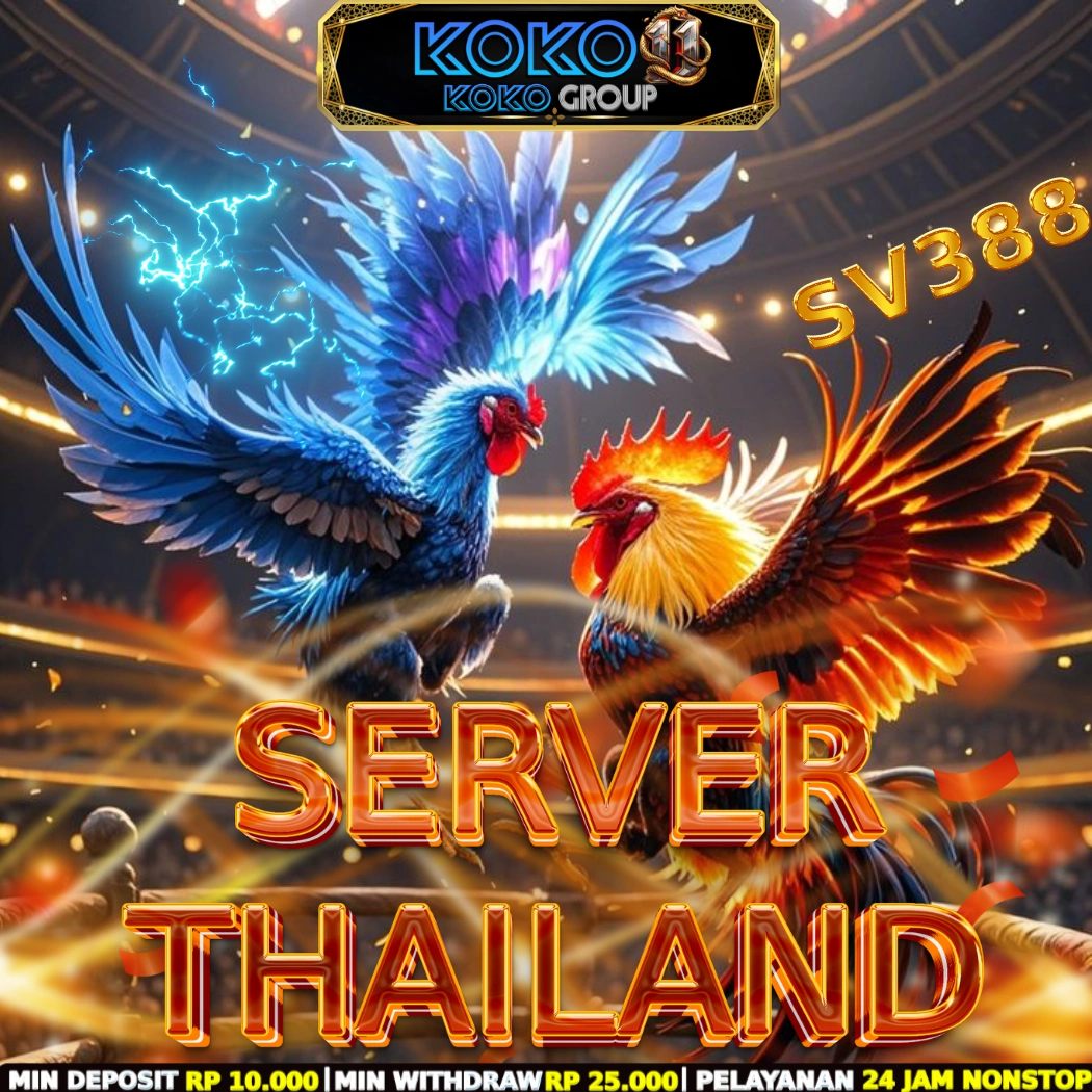 KOKO11 : Situs Bandar Sabung Ayam Live 24 Jam Server Thailand Resmi image 1